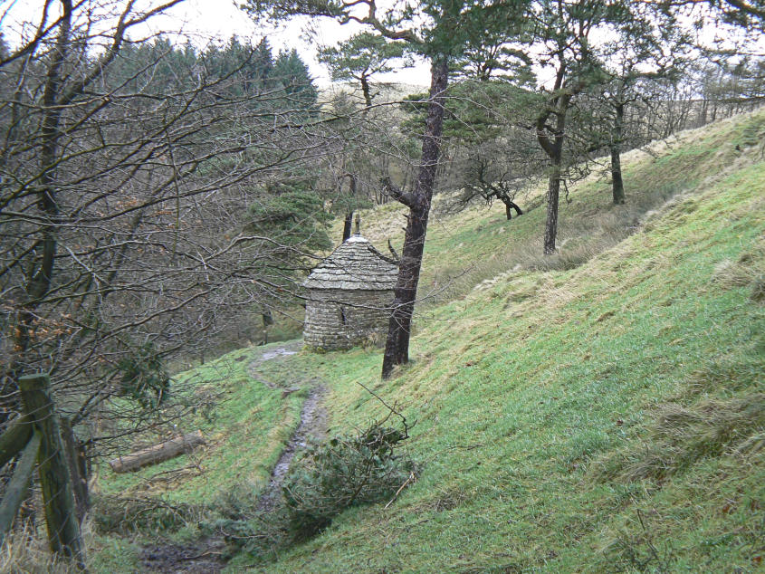 The Honeypot The Honeypot